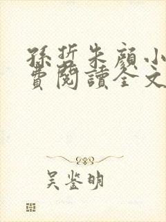 孙哲朱颜小说免费阅读全文最新章节封面