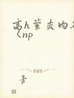高h荤爽肉欲文〈np