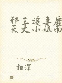 邪王追妻废材逆天大小姐南宫流云