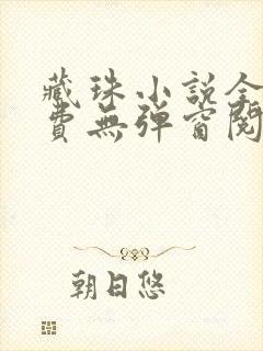 藏珠小说全文免费无弹窗阅读