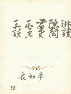 王正君陈琳洁小说免费阅读