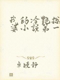 我的冷艳总裁老婆小说第一部