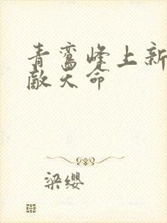青鸾峰上新书无敌天命