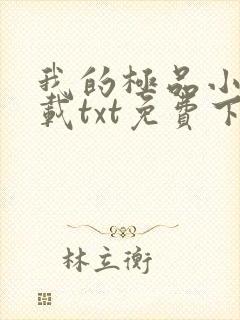 我的极品小姨下载txt免费下载