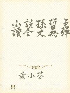 小说孙哲免费阅读全文无弹窗