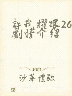 许我耀眼26集剧情介绍