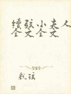 续弦小夫人阅读全文全文