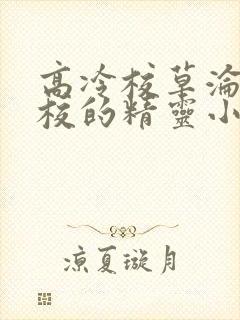 高冷校草沦为全校的精灵小说