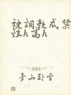 被调教成禁脔双性h高h封面