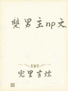 双男主np文h封面