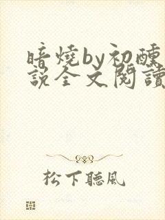 暗烧by初醺小说全文阅读免费