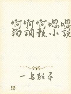 啊啊啊嗯嗯嗯母狗调教小说封面