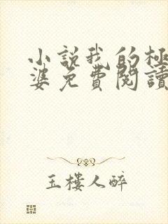 小说我的极品老婆免费阅读全文封面