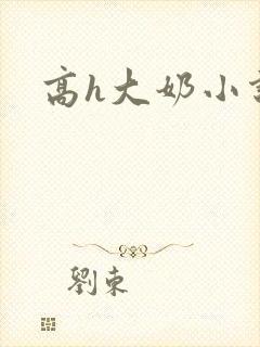 高h大奶小说