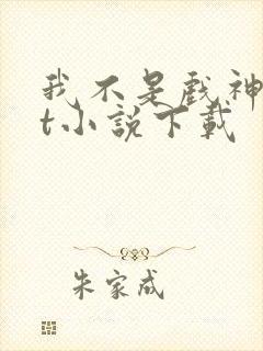 我不是戏神txt小说下载