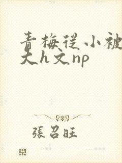 青梅从小被肉到大h文np