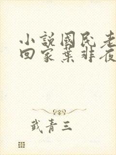 小说国民老公带回家叶非夜