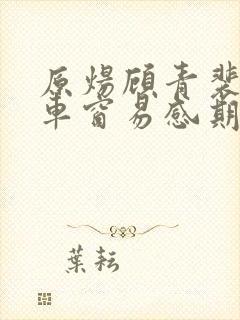 原炀顾青裴落地车窗易感期