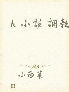 h 小说 调教