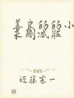 善良的的小[子未删减版
