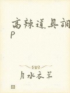 高辣道具调教np