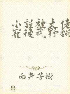 小说被大佬们团宠后我野翻了免费阅读封面