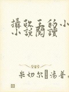 摄政王的小闲妻小说阅读封面