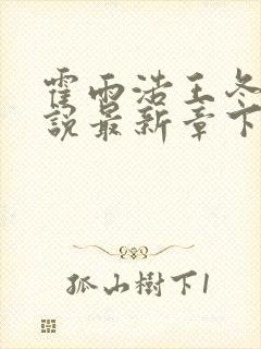 霍雨浩王冬儿小说最新章下载封面