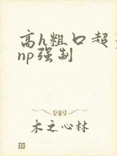 高h粗口超多肉np强制封面