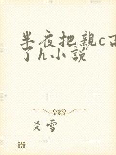 半夜把亲c高潮了h小说