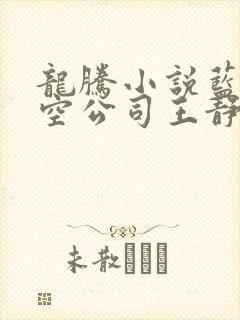 龙腾小说蓝天航空公司王静