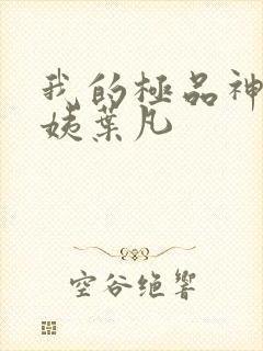 我的极品神级小姨叶凡