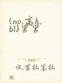 (np,高h,bl)男男