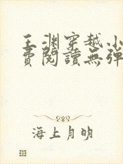 王渊穿越小说免费阅读无弹窗