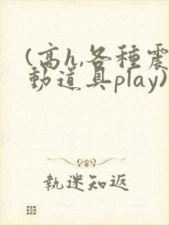 (高h,各种震动道具play)小说
