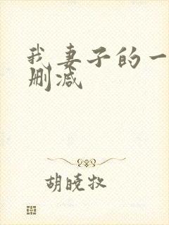 我妻子的一切未删减