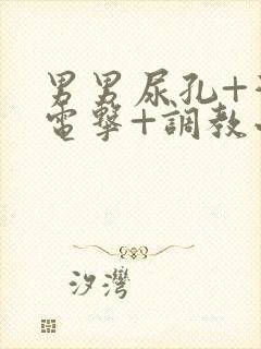 男男尿孔+灌+电击+调教小说封面