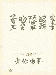 萧昀陆昭宁全文免费最新章节阅读