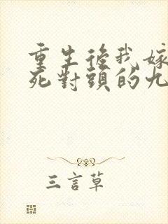 重生后我嫁给了死对头的九叔