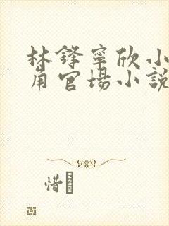 林锋宁欣小说主角官场小说