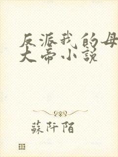 反派我的母姐是大帝小说