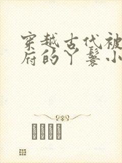 穿越古代被放出府的丫鬟小说