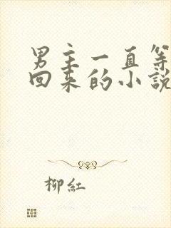 男主一直等女主回来的小说