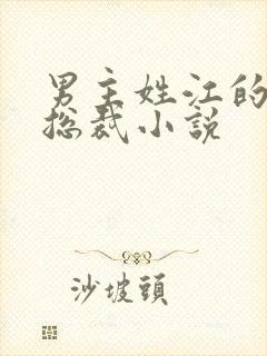 男主姓江的现代总裁小说