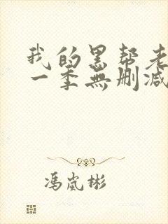 我的黑帮老大第一季无删减版