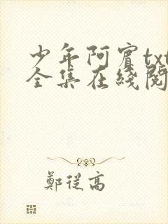 少年阿宾txt全集在线阅读封面