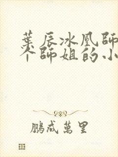 叶辰冰凰师娘九个师姐的小说