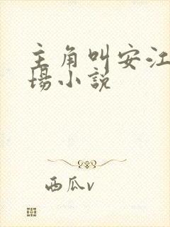 主角叫安江的官场小说