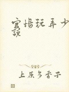 官场玩弄少妇小说