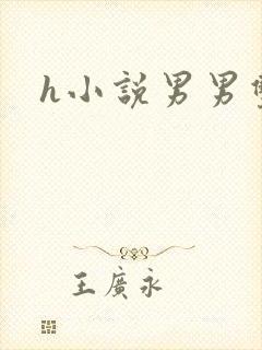 h小说男男双性封面